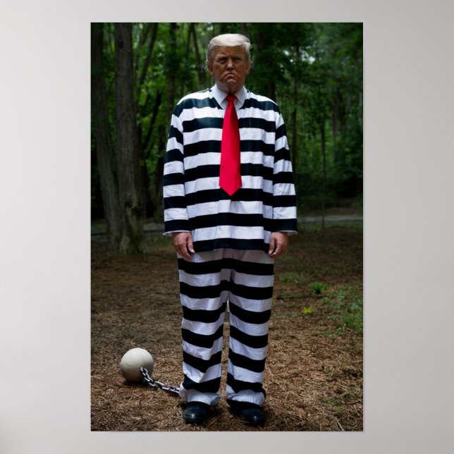 Póster Trump Jail Poster (Frente)