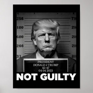 Póster Trump no es culpable de asesinato sin Trump, estoy