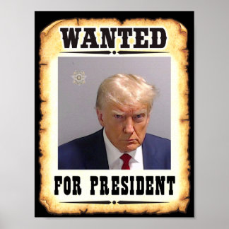 Póster Trump Quería Un Presidente Poster