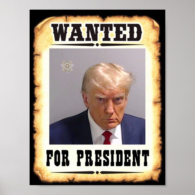 Póster Trump Quería Un Presidente Poster (Frente)