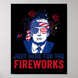 Póster Trump Solo Está Aquí Por Los Fuegos Artificiales D
