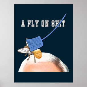 Póster Trump vuela sobre la cabeza de la cerca con Flyswa