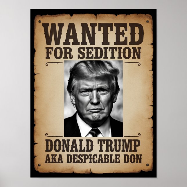 Póster Trump Wanted Poster (Frente)