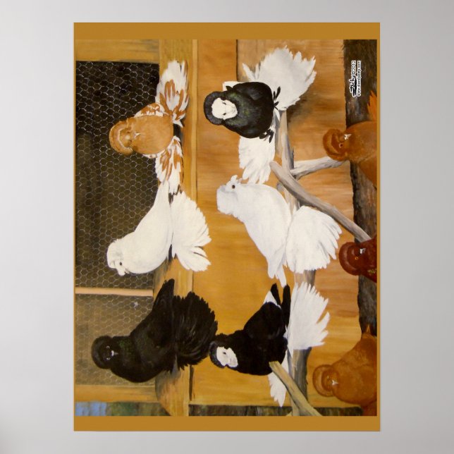 Póster Trumpeter Pigeon Champions (Frente)