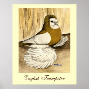 Póster Trumpetero inglés pichón amarillo magdalena