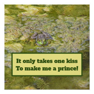 Póster "Tu beso me convertirá en un príncipe"/cartel de R