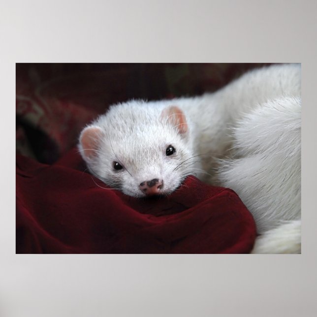 Póster Tu chantais si bien... (Frente)