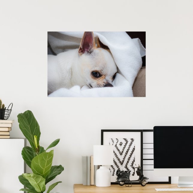 Póster Tu mascota perro cachorro personalizado foto chihu (Oficina en casa)