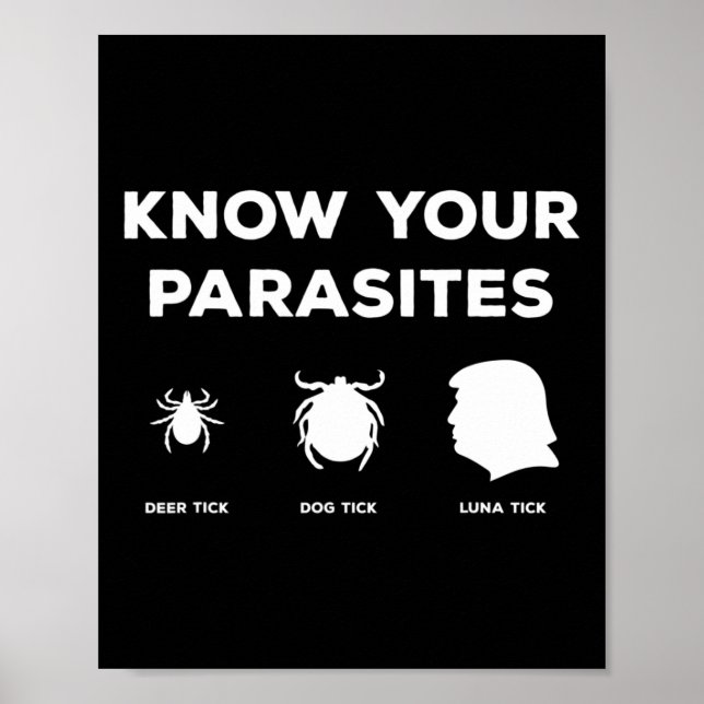 Póster Tu parábola a cualquiera menos a la protesta contr (Frente)