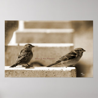 Póster Tú y yo para siempre