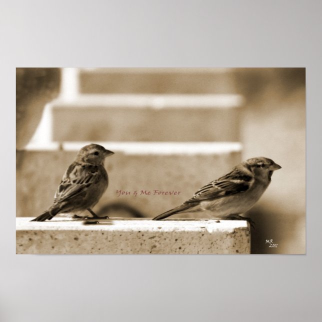 Póster Tú y yo para siempre (Frente)