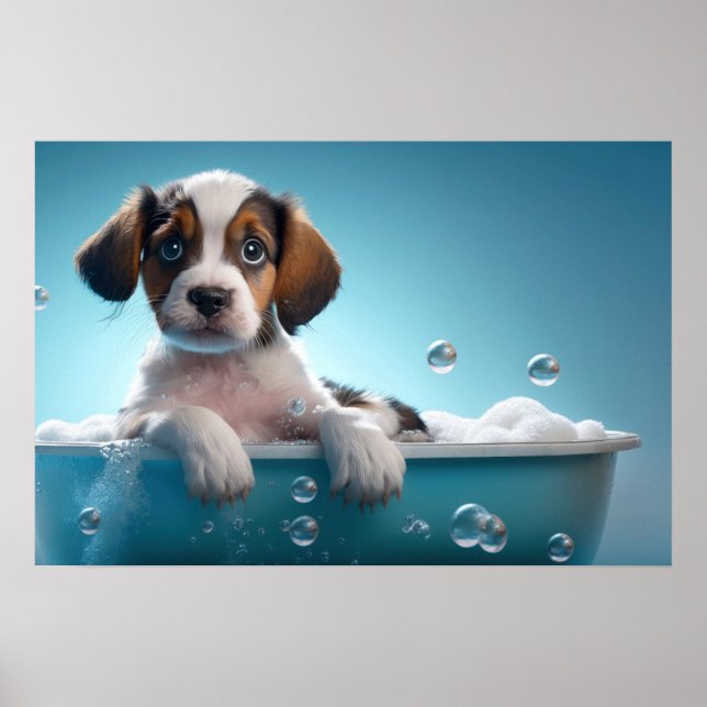 Póster Tubería de baño (Frente)