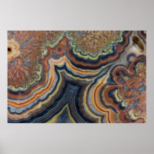 Póster Tubo de floración (onyx)