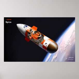 Póster Tubo de la cápsula Spica