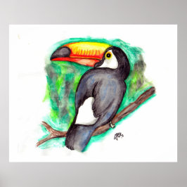 Póster Tucan