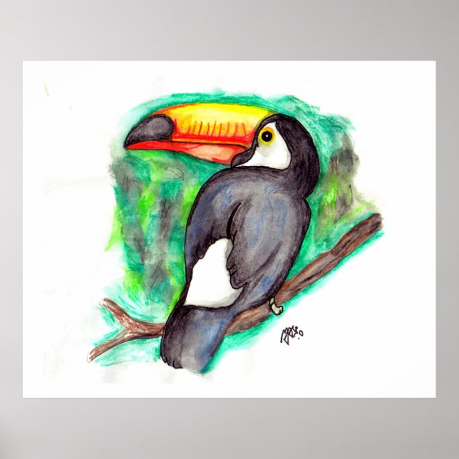 Póster Tucan (Frente)