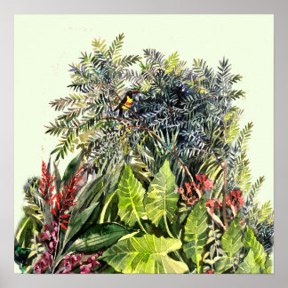 Póster Tucán acuarela de selva tropical – Selva tropical