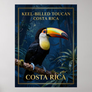 Póster Tucán de Pico Acanalado Vida Silvestre de Costa Ri