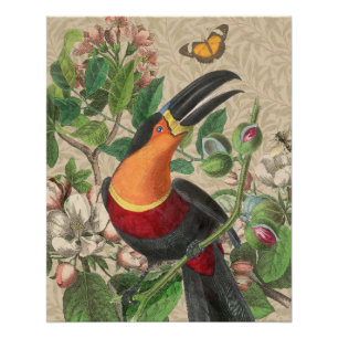 Póster Tucán Selva Tropical Ave Hermoso Antique