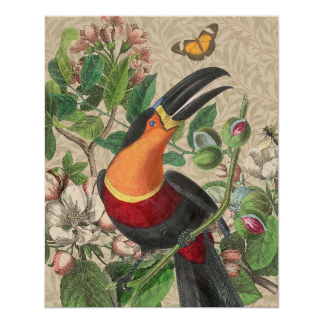 Póster Tucán Selva Tropical Ave Hermoso Antique (Anverso)