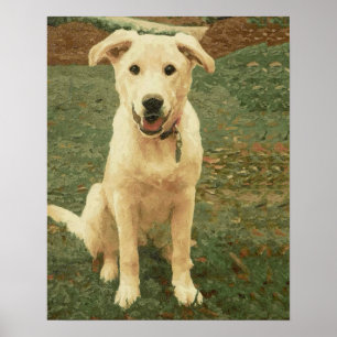 Póster Tucker