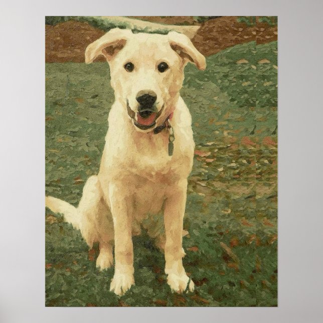 Póster Tucker  (Frente)