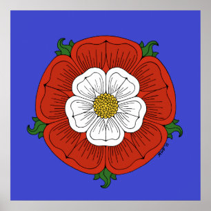Póster Tudor Rosa