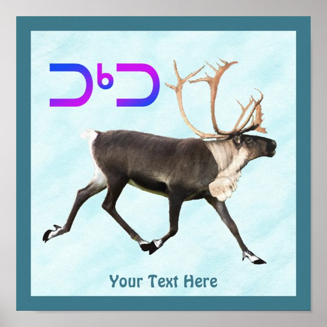 Póster Tuktu - Caribou On Snow (Frente)