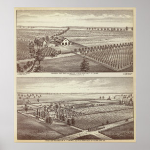 Póster Tulare farms