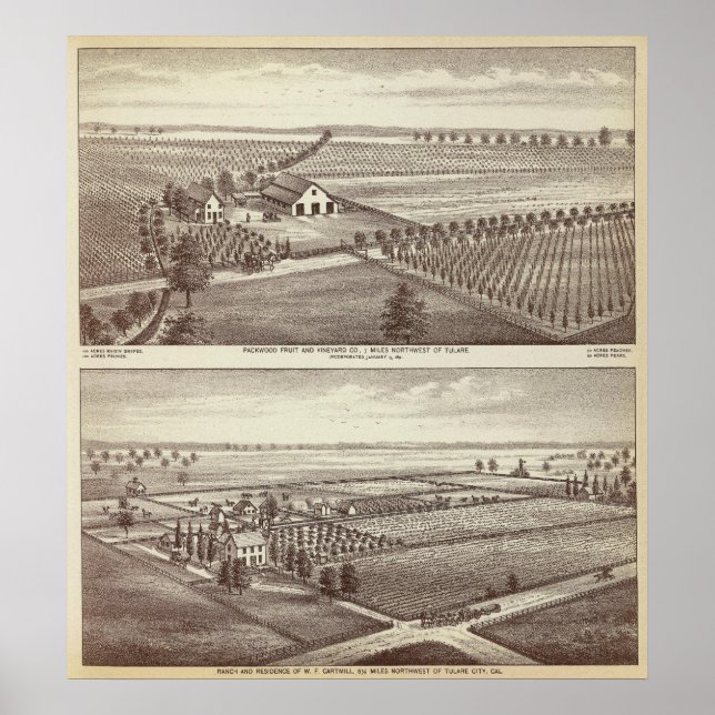 Póster Tulare farms (Frente)