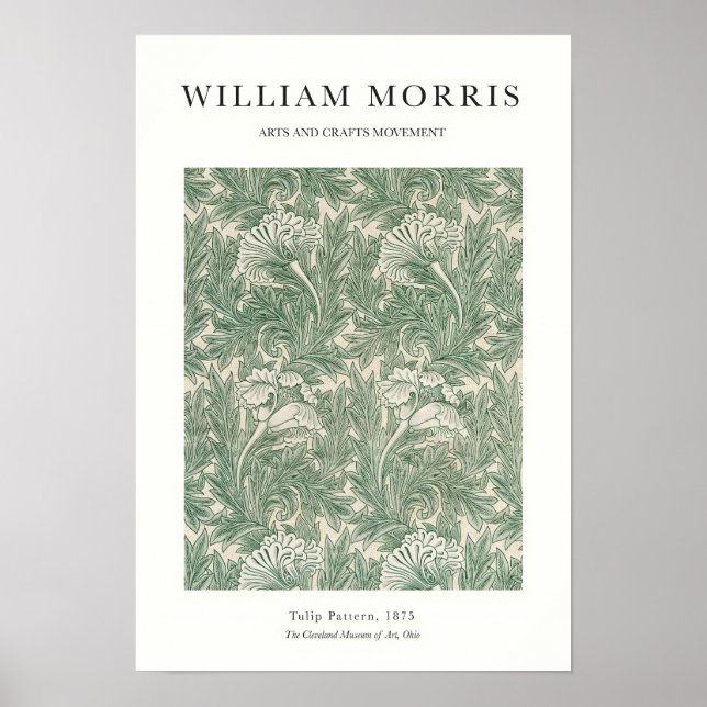 Póster Tulip (Frente)