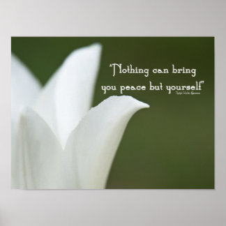 Póster Tulip de la paz