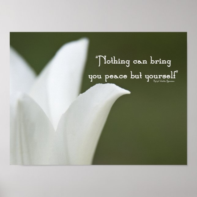Póster Tulip de la paz (Frente)