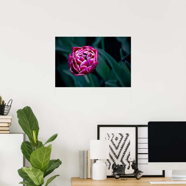 Póster Tulip de moody rosa (Oficina en casa)