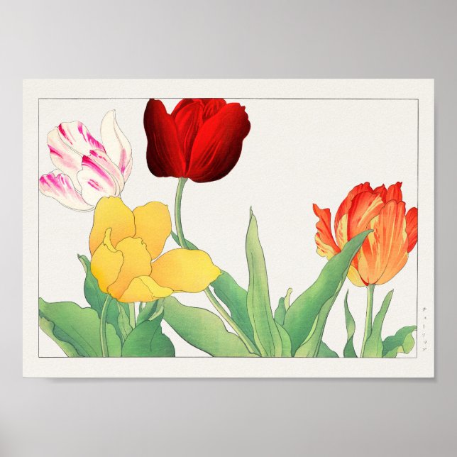 Póster Tulip de Tanigami Konan (Frente)