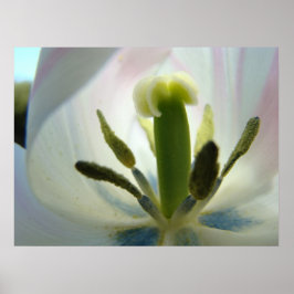 Póster TULIP FLOWER INSIDE Art Print Spring Tulips Canvas