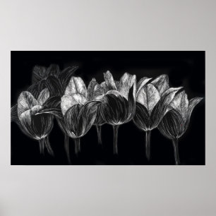 Póster Tulip Garden Black White Scratchboard Art