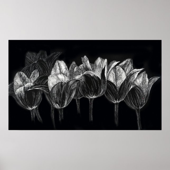 Póster Tulip Garden Black White Scratchboard Art (Frente)