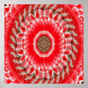 Póster Tulip Illusion......
