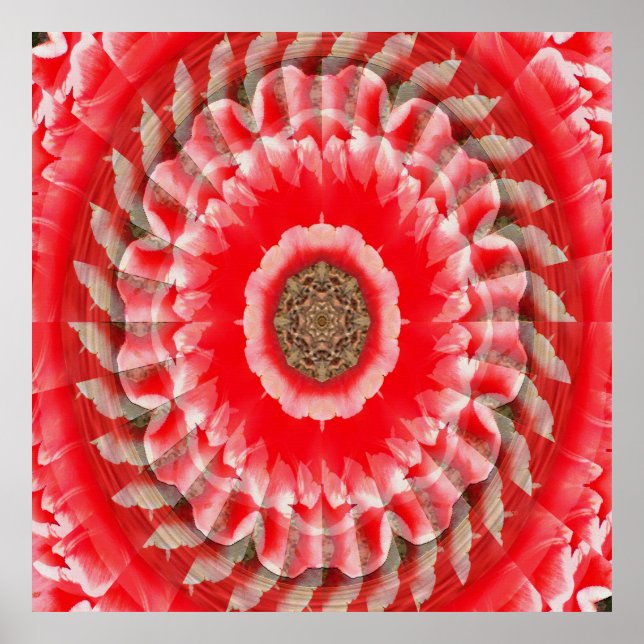 Póster Tulip Illusion...... (Frente)