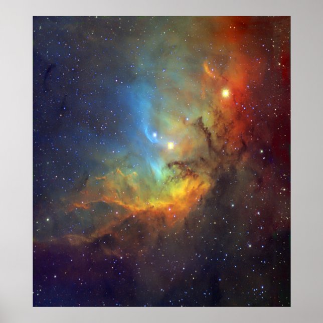 Póster Tulip Nebula SH2-101 NASA (Frente)