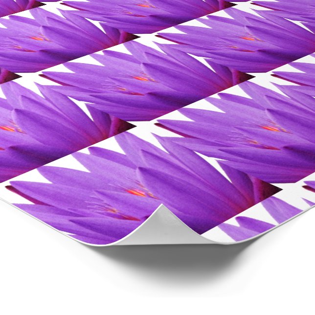 Póster Tulip púrpura (Esquina)