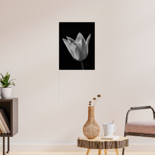 Póster Tulipán