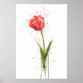 Póster Tulipán