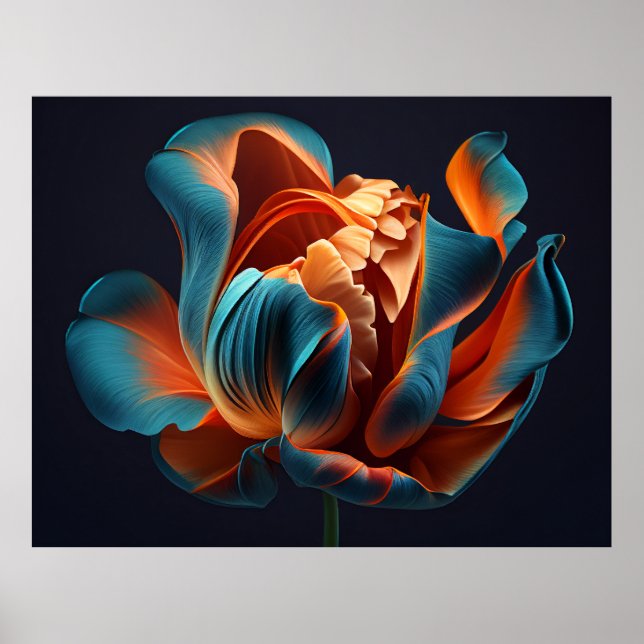 Póster Tulipán azul y Naranja sobre fondo negro negrita (Frente)