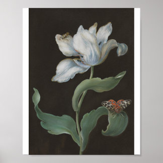 Póster Tulipán con una polilla tigre de jardín por B. R. 