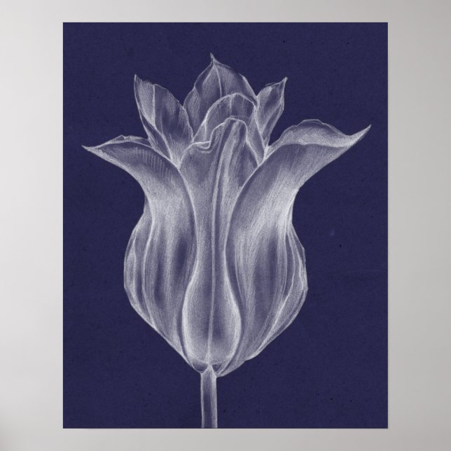 Póster Tulipán III monocromo (Frente)