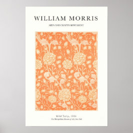 Póster Tulipán Naranja