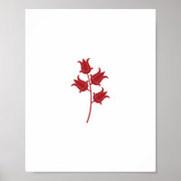 Tulipán rojo único
