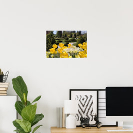 Póster Tulipanes amarillos de Arboretum Volcji Potok Eslo